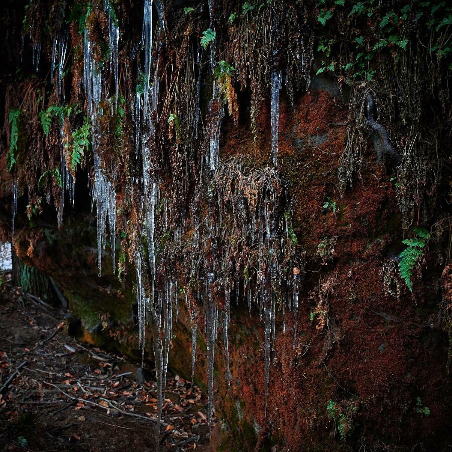 U Kosti - Bohemian Switzerland Leilighet Decin Eksteriør bilde