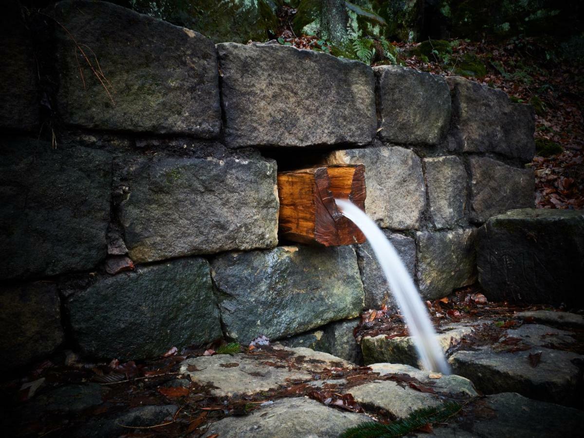 U Kosti - Bohemian Switzerland Leilighet Decin Eksteriør bilde